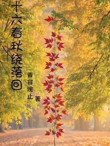 丹医扁鹊产品