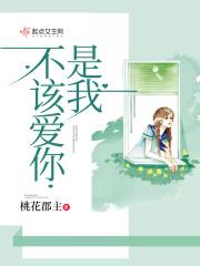 建木仙打书加点