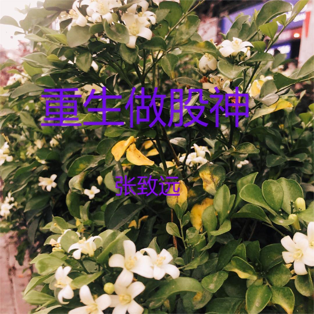 全球冰封我打造了末日安全屋短剧