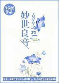 锅从天降打一肖