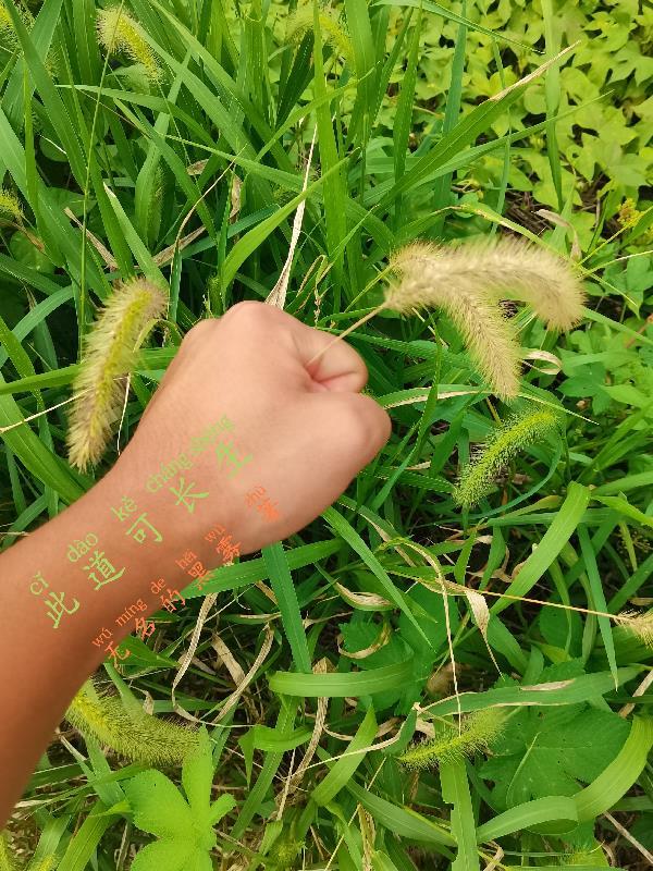 春夜沦陷免费笔趣阁最新章节