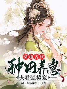 快穿之那不是炮灰!是我老婆免费阅读