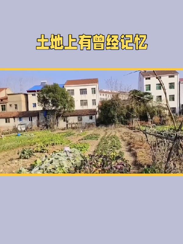 禁欲九王夜夜来纠缠沈无忧