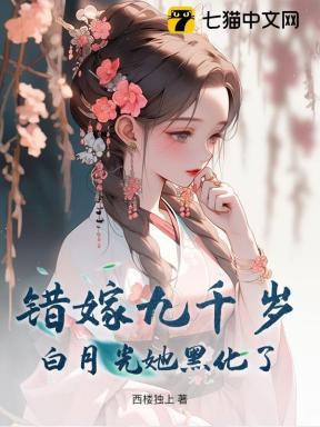 主角叶宁