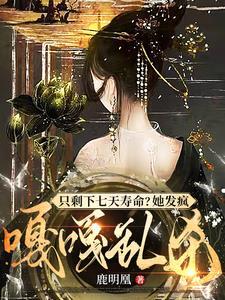 主角自己在农村开医馆的