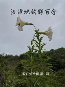商人的原因