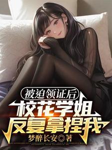 美女的贴身神医全集