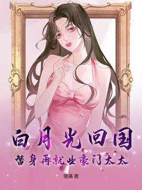 清风明月书