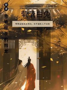 穿越到火影娶纲手的