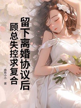 离婚后沈总满世界追妻免费全集