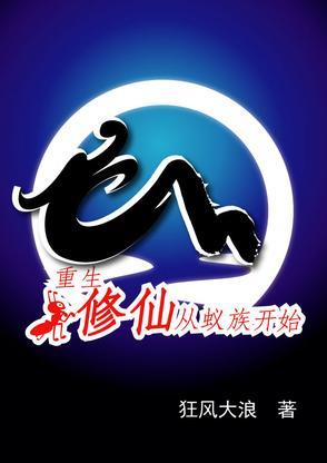 从霍格沃茨开始的魔法之旅番茄