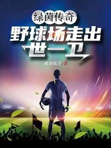 侠影谜踪