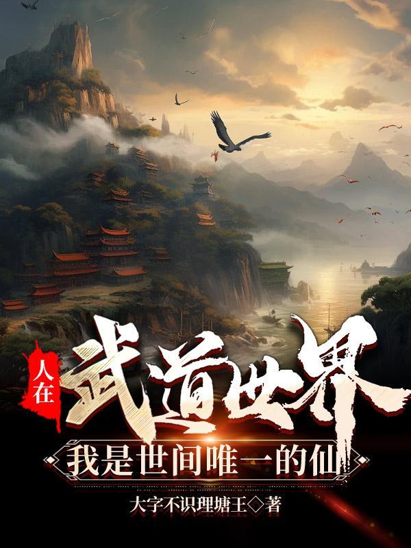 明末从军行
