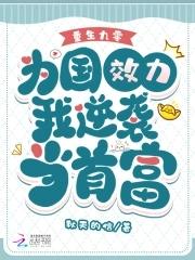 海贼之守护之心
