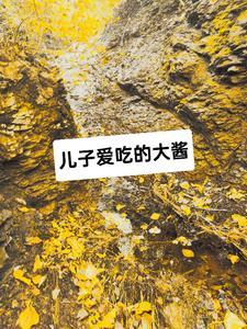 海贼之影子军团免费