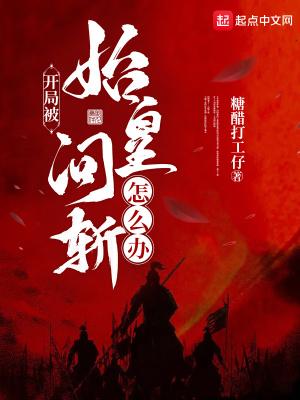 海贼之暗影降临