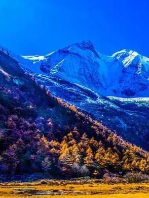 神武令牌是什么动漫