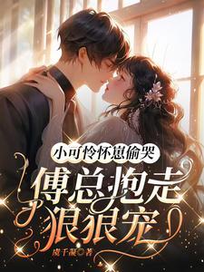 独掌苍穹好看吗