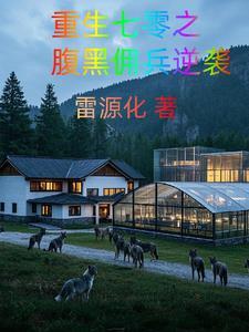 王爷夫君缺心眼