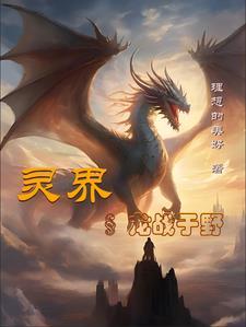 少帅夫人惹不得