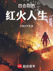 不可以书名