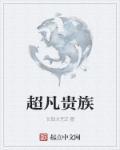 都市之至尊武神无窗口